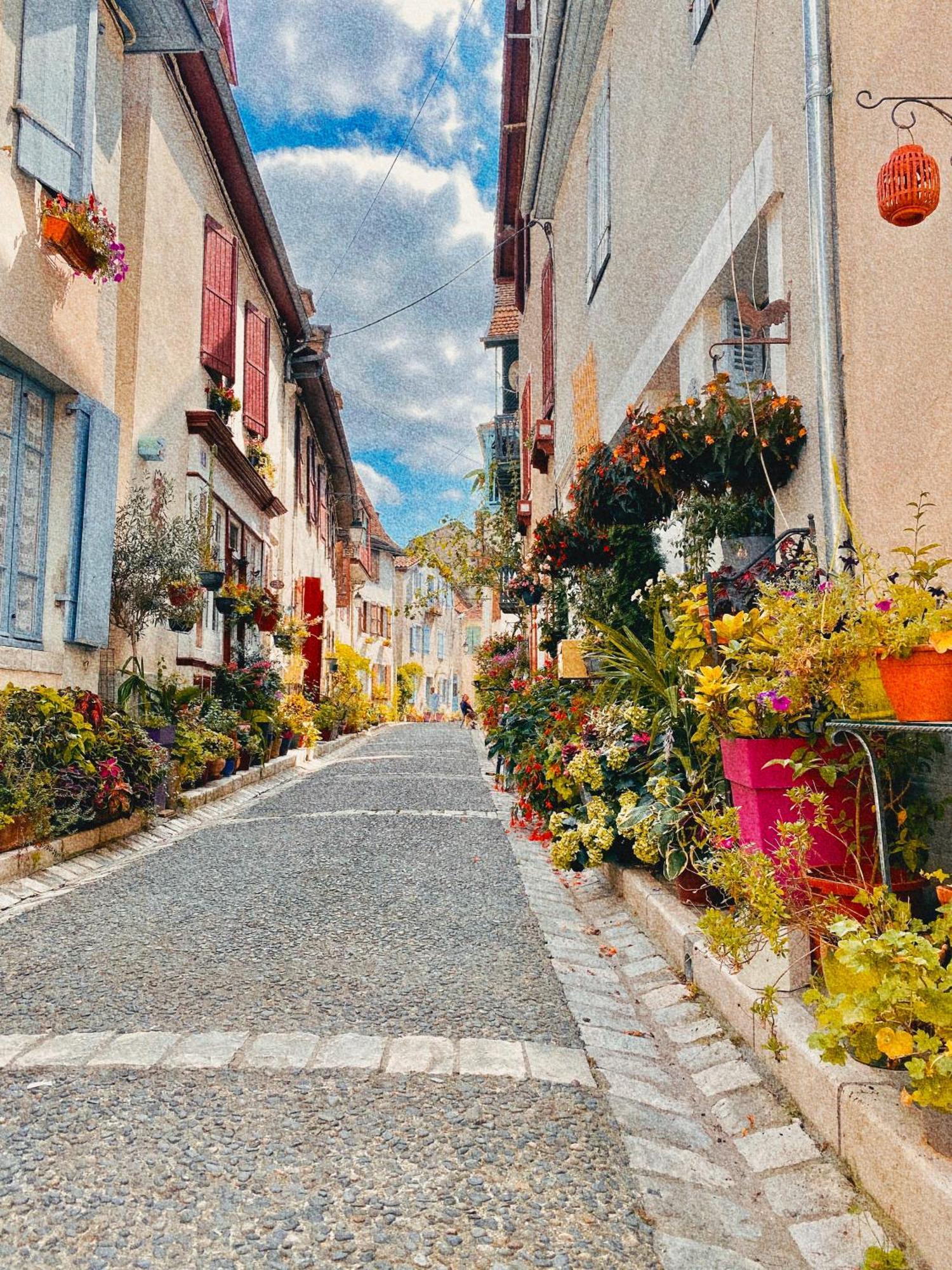 Agreable Petit Gite Avec Piscine Et Jardinet Salies-de-Béarn Eksteriør bilde