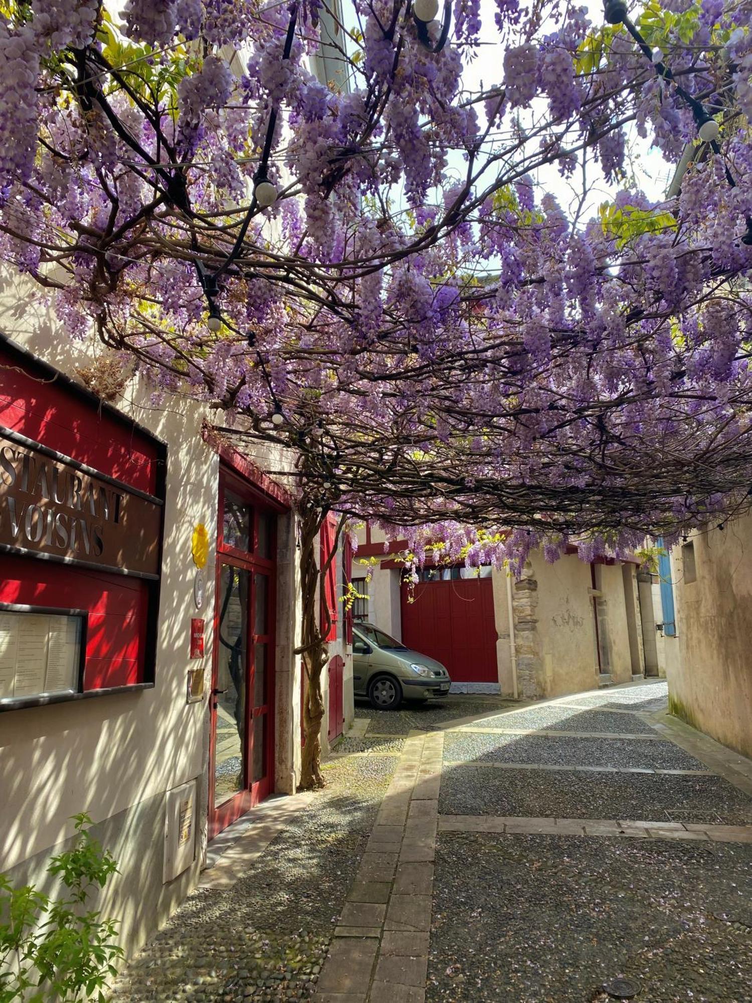 Agreable Petit Gite Avec Piscine Et Jardinet Salies-de-Béarn Eksteriør bilde